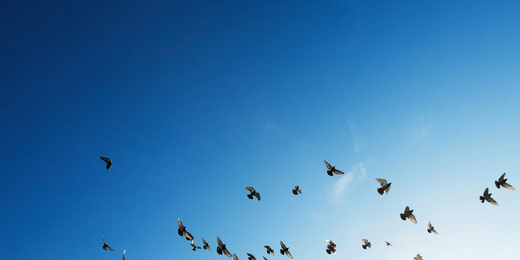 Migrating to Office 365