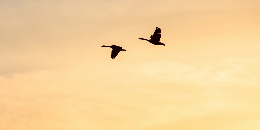 Why Should You Migrate to a Cloud-Based Archiving Solution?
