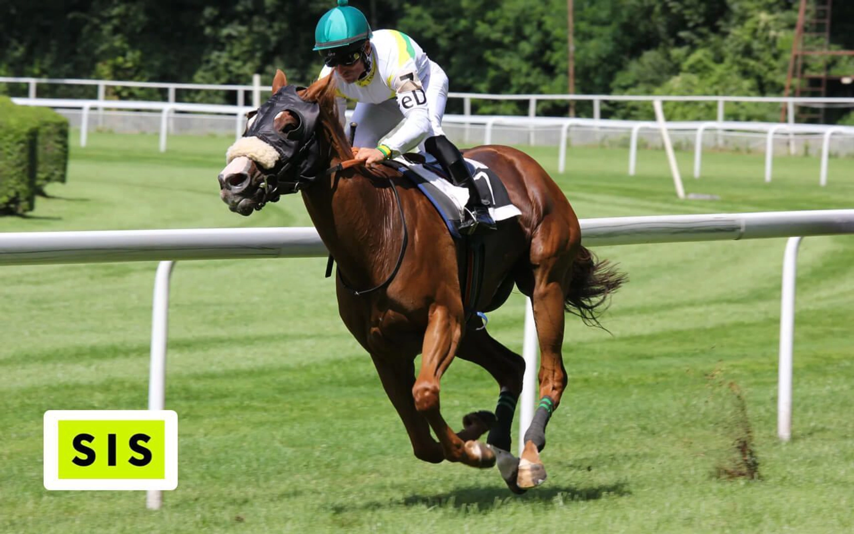 Témoignage client SIS